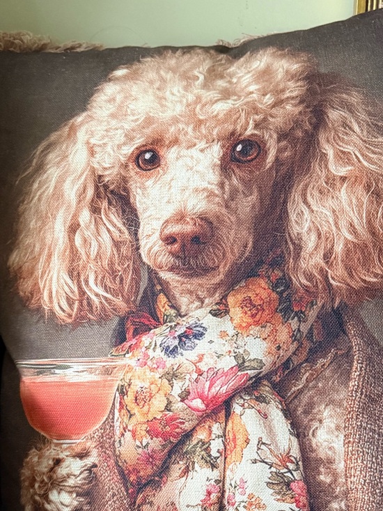 Poodle Other - Poodle love 💗